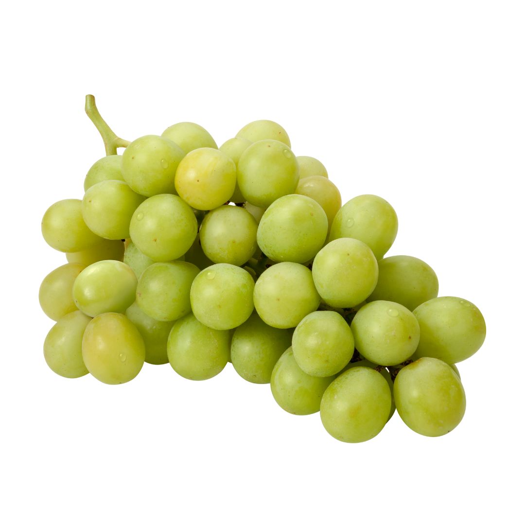 Trester (Grappa Stil)