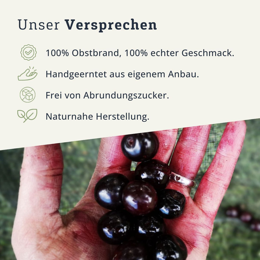 Kirsch Obstbrand Kirschwasser