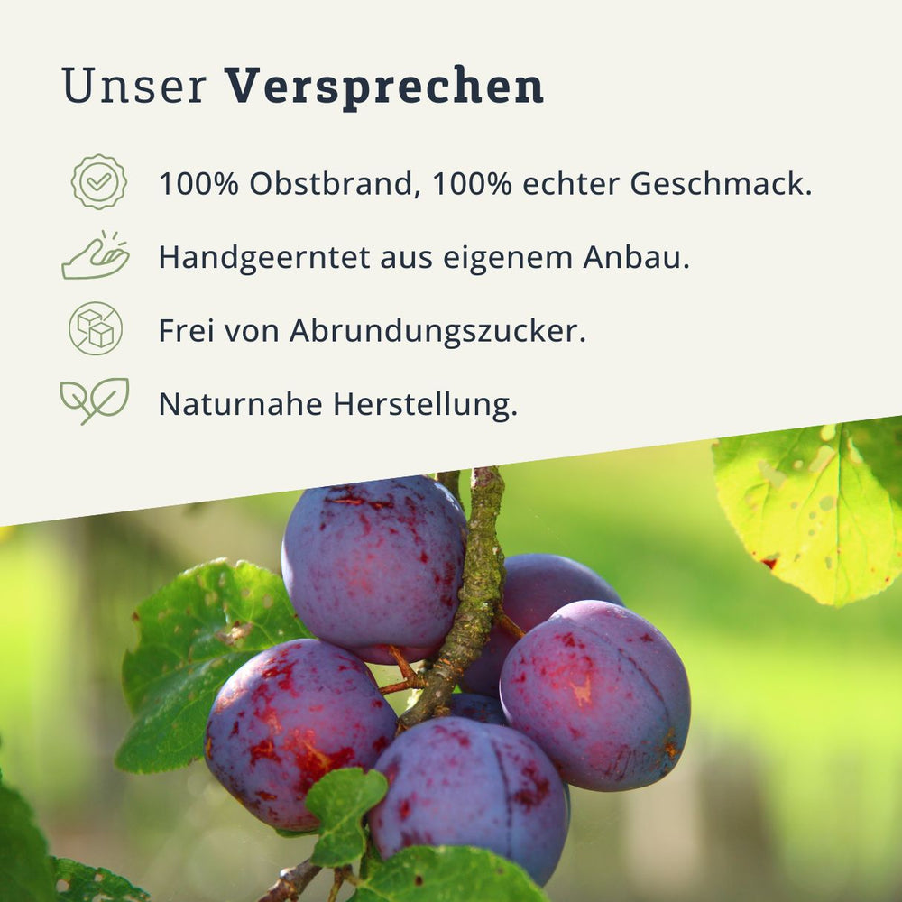 Löhrpflaume Obstbrand