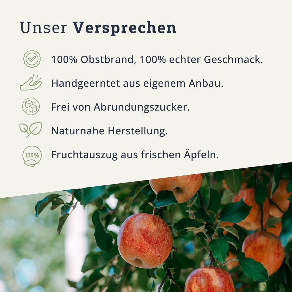 Rubinette Obstbrand Fruchtauszug