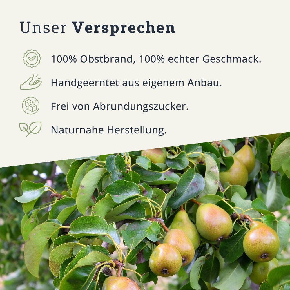 Schweizer Wasserbirne Obstbrand