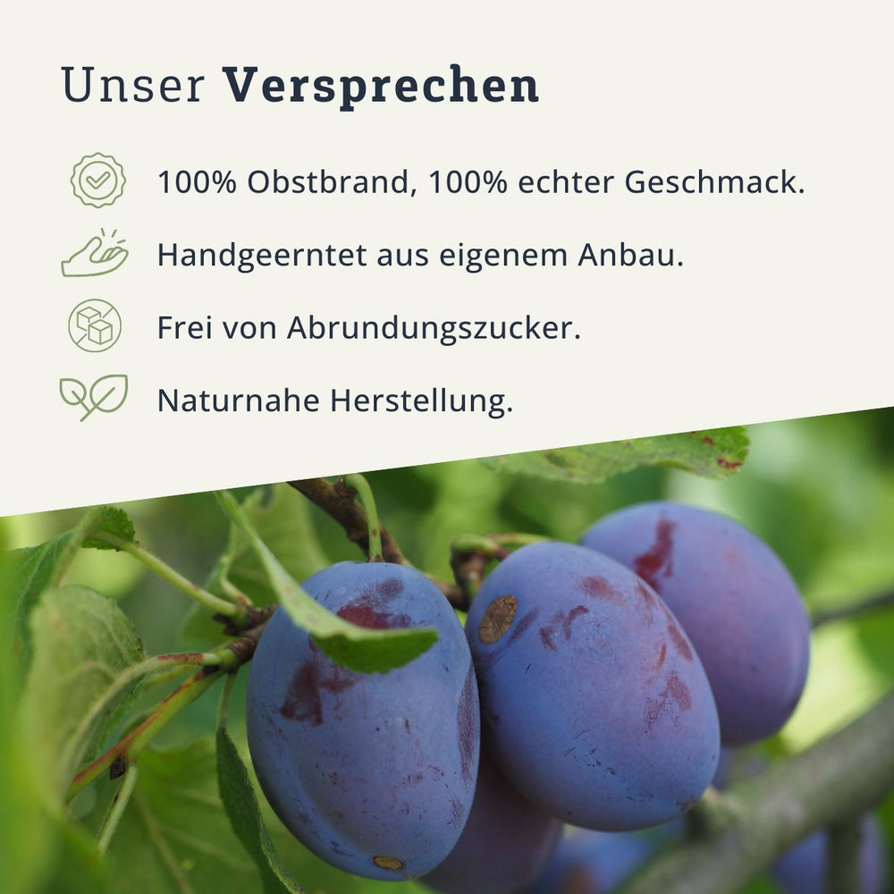 Zwetschge Obstbrand