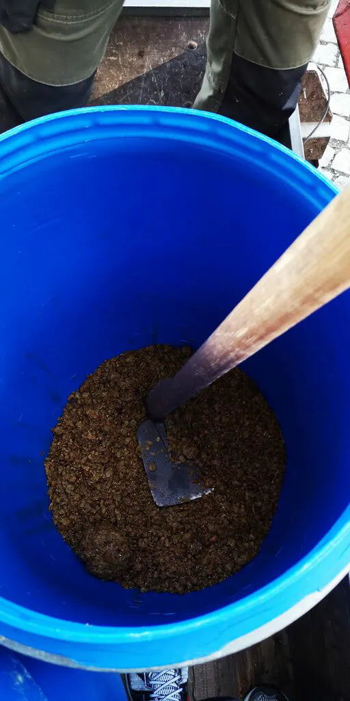 Trester in Maischefässer