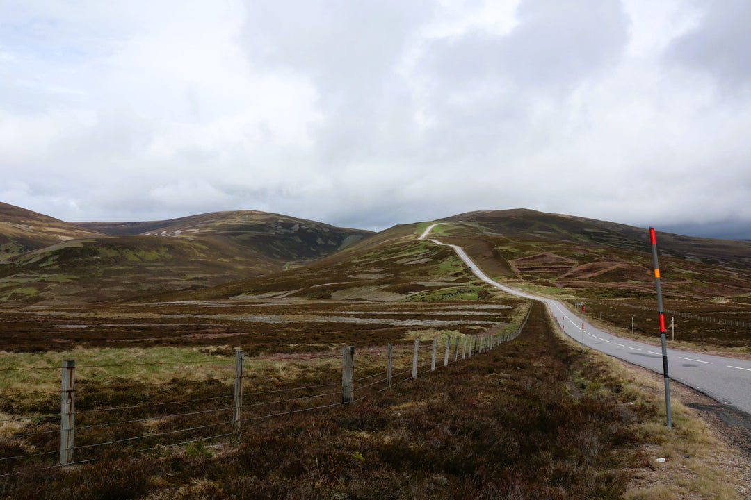 Warum Obstbrände die unterschätzte Königsdisziplin sind – und was echte Obstbrände ausmacht