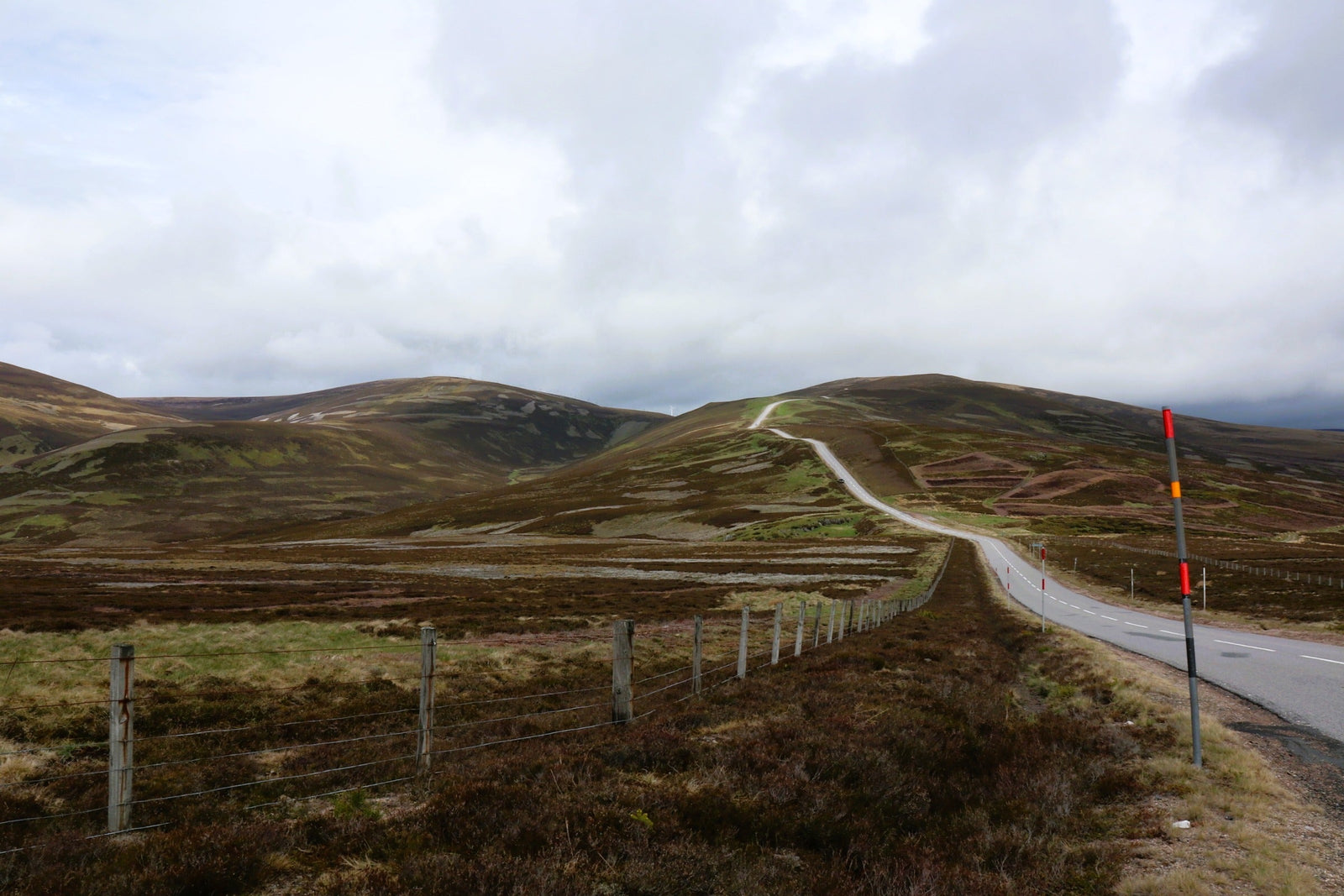 Warum Obstbrände die unterschätzte Königsdisziplin sind – und was echte Obstbrände ausmacht
