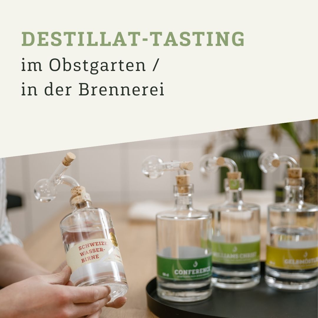 Destillat Tasting
