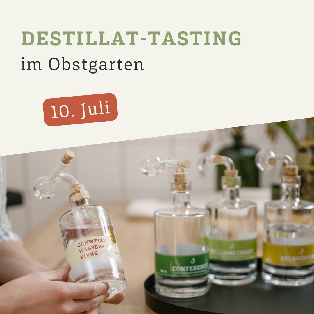 Tasting: Schnapps + Flammkuchen