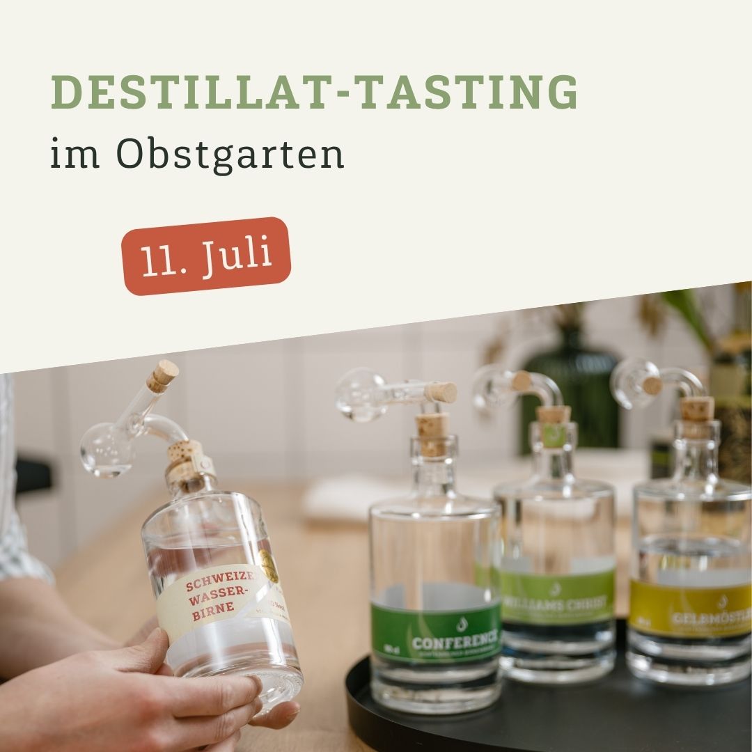 Tasting: Schnapps + Flammkuchen