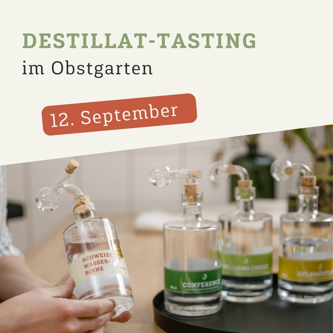 Tasting: Schnapps + Flammkuchen