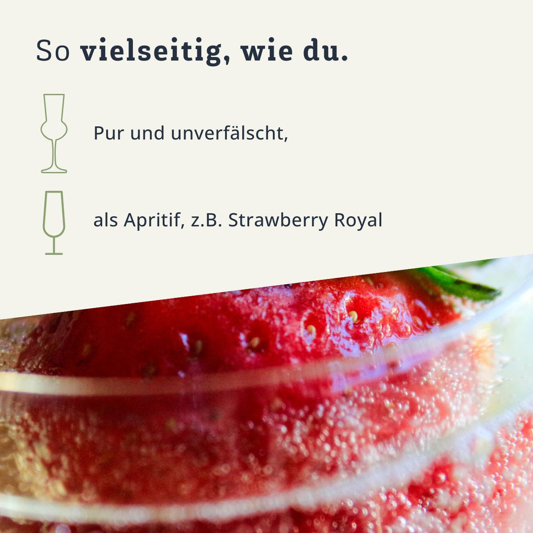 Erdbeer Rhabarber Likör