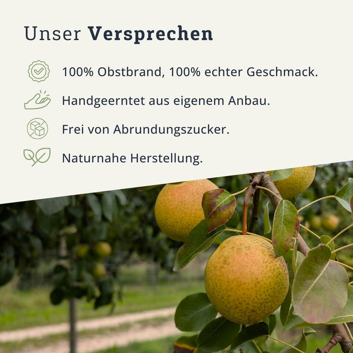 Gelbmöstler