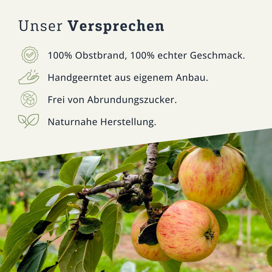 Gravensteiner 