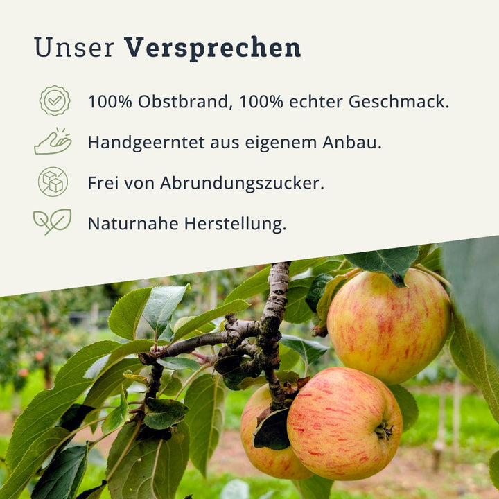 Gravensteiner 