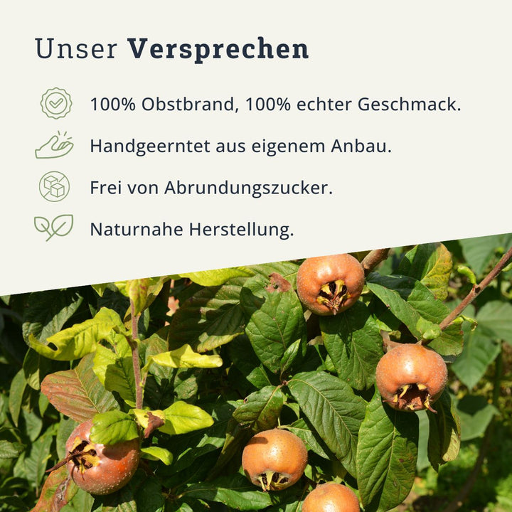 Mispel Obstbrand