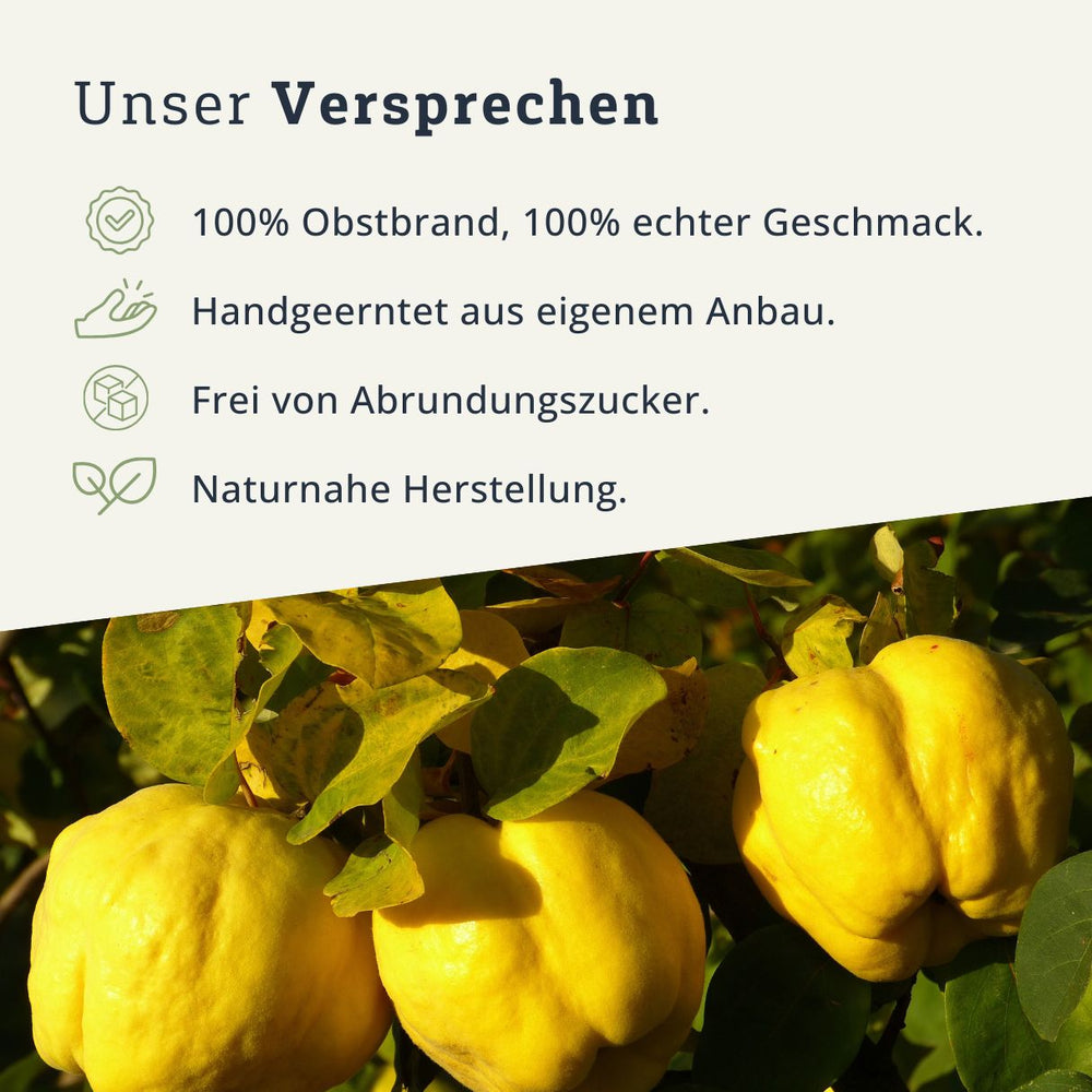 Quitten Obstbrand