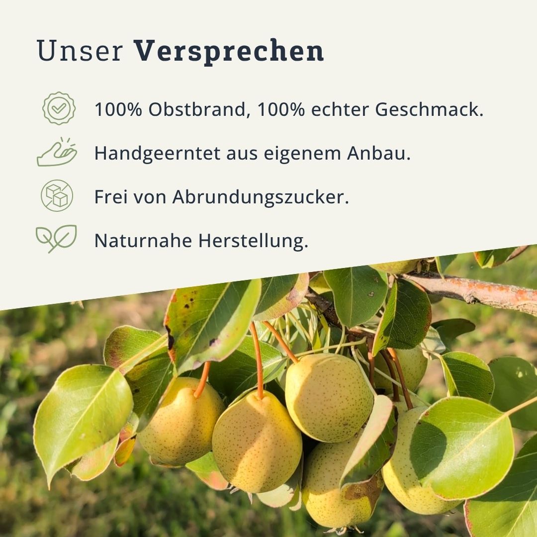 Wahl'sche Schnapsbirne