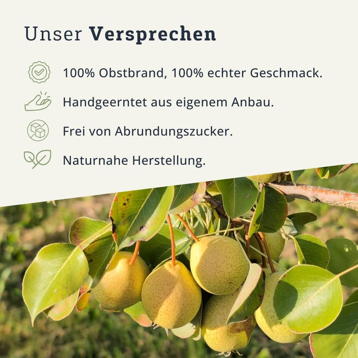Wahl'sche Schnapsbirne