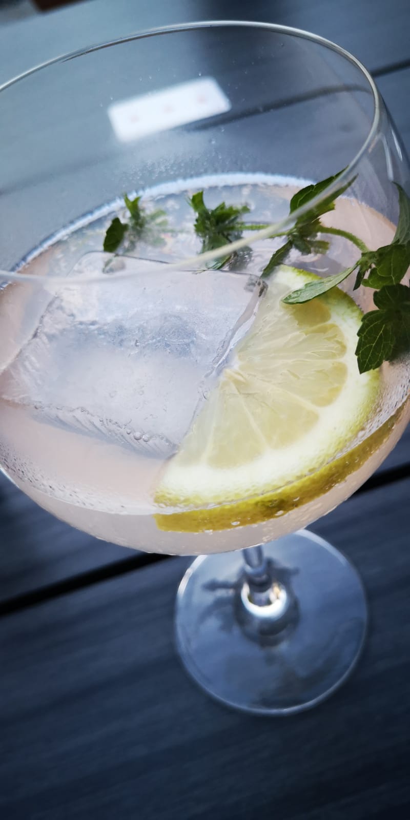 Longdrink Rhabarber & Tonic