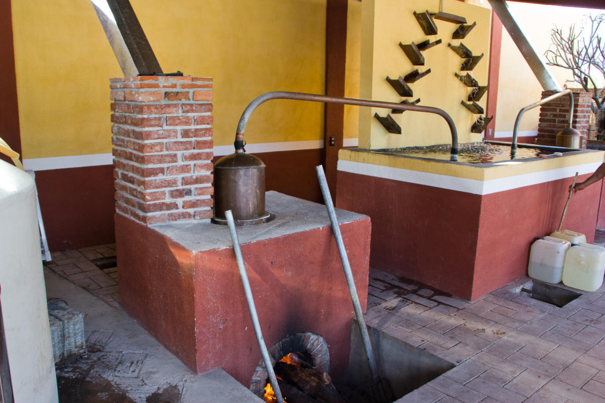 Destillerie einer traditionellen Mezcaleria in Oaxaca, 2014