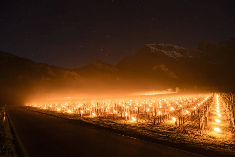 Ein surrealer Anblick, etliche Frostkerzen im Kampf gegen den Spätfrost, hier in Graubünden in der Schweiz | ©dpa